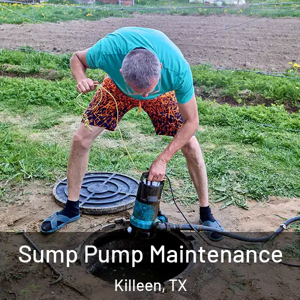  Sump Pump Maintenance Killeen, TX